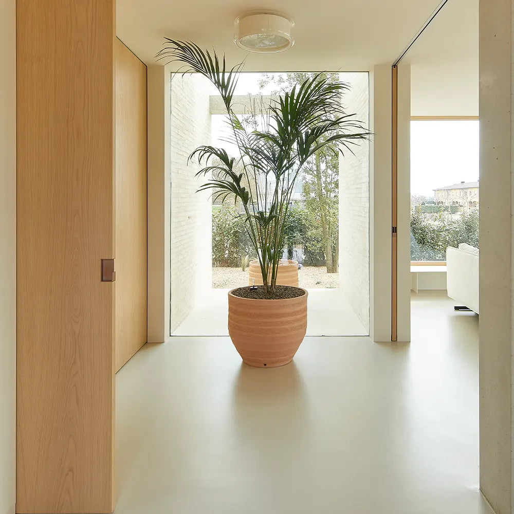 Modern hallway microcement flooring Melbourne